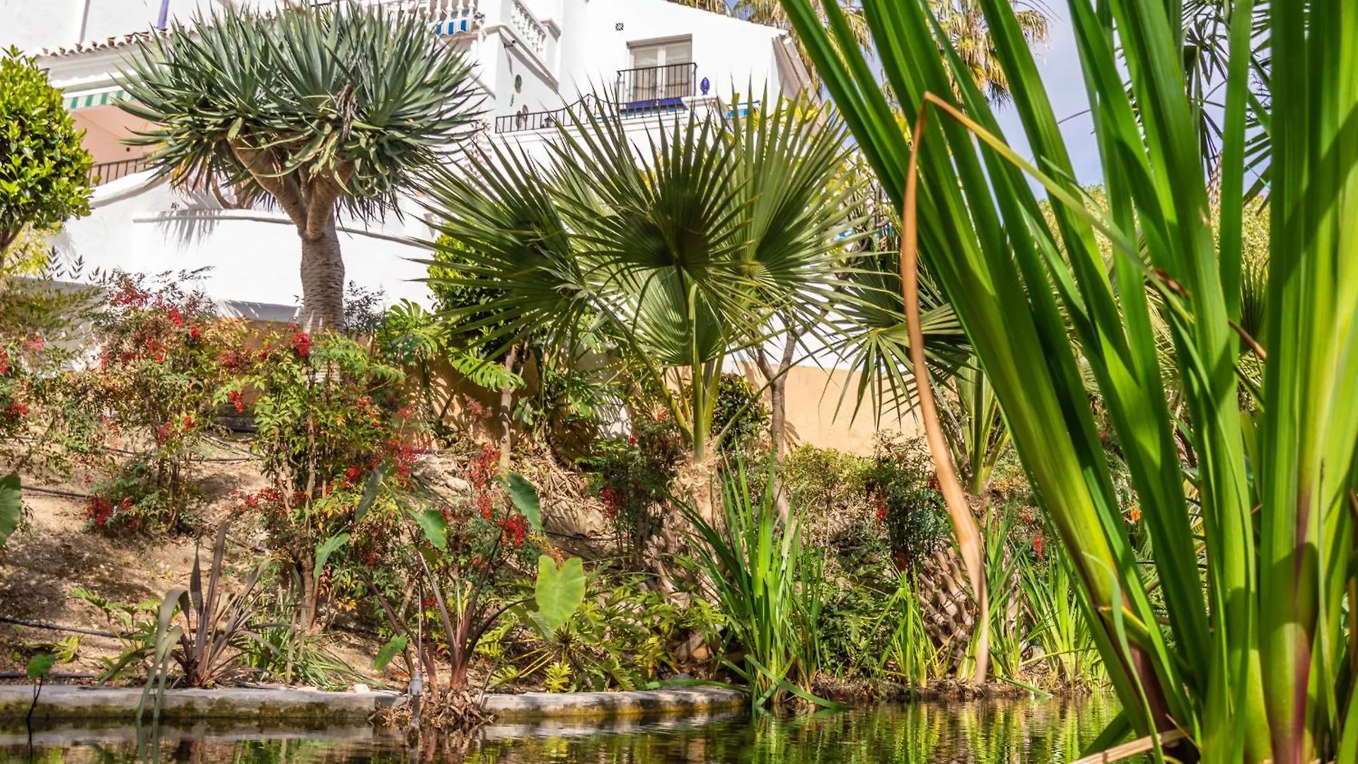 Tetuan 11 Oasis Properties Nerja 0*,  Spain