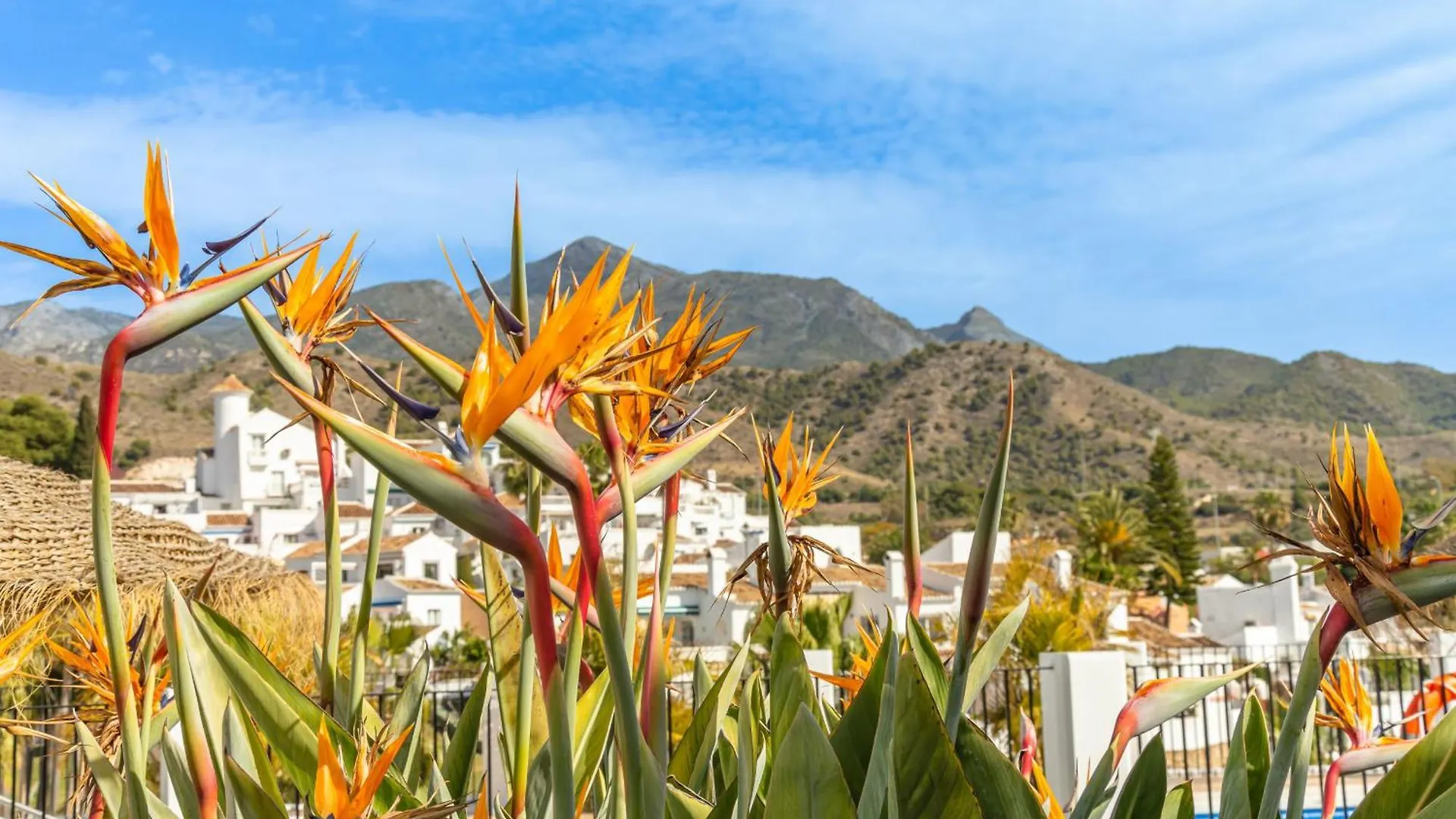 Tetuan 11 Oasis Properties Nerja Spain