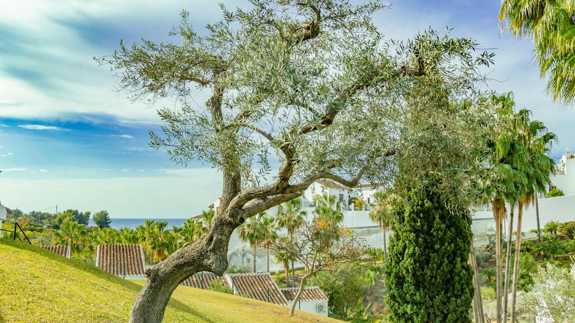 Apartment Tetuan 11 Oasis Properties Nerja